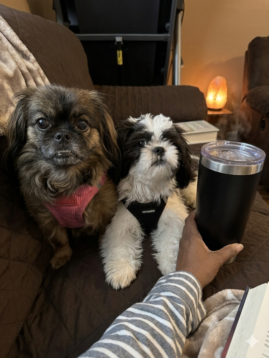 The Sacred Window: 4:30 AM Coffee and a Quiet House