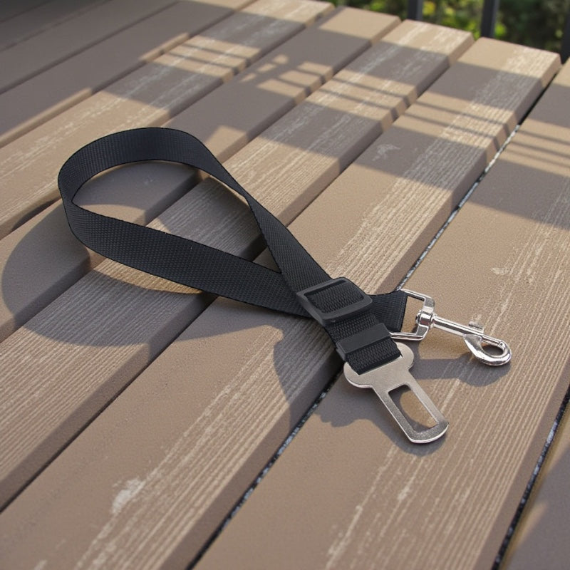 For the Ones that Walk Beside Us