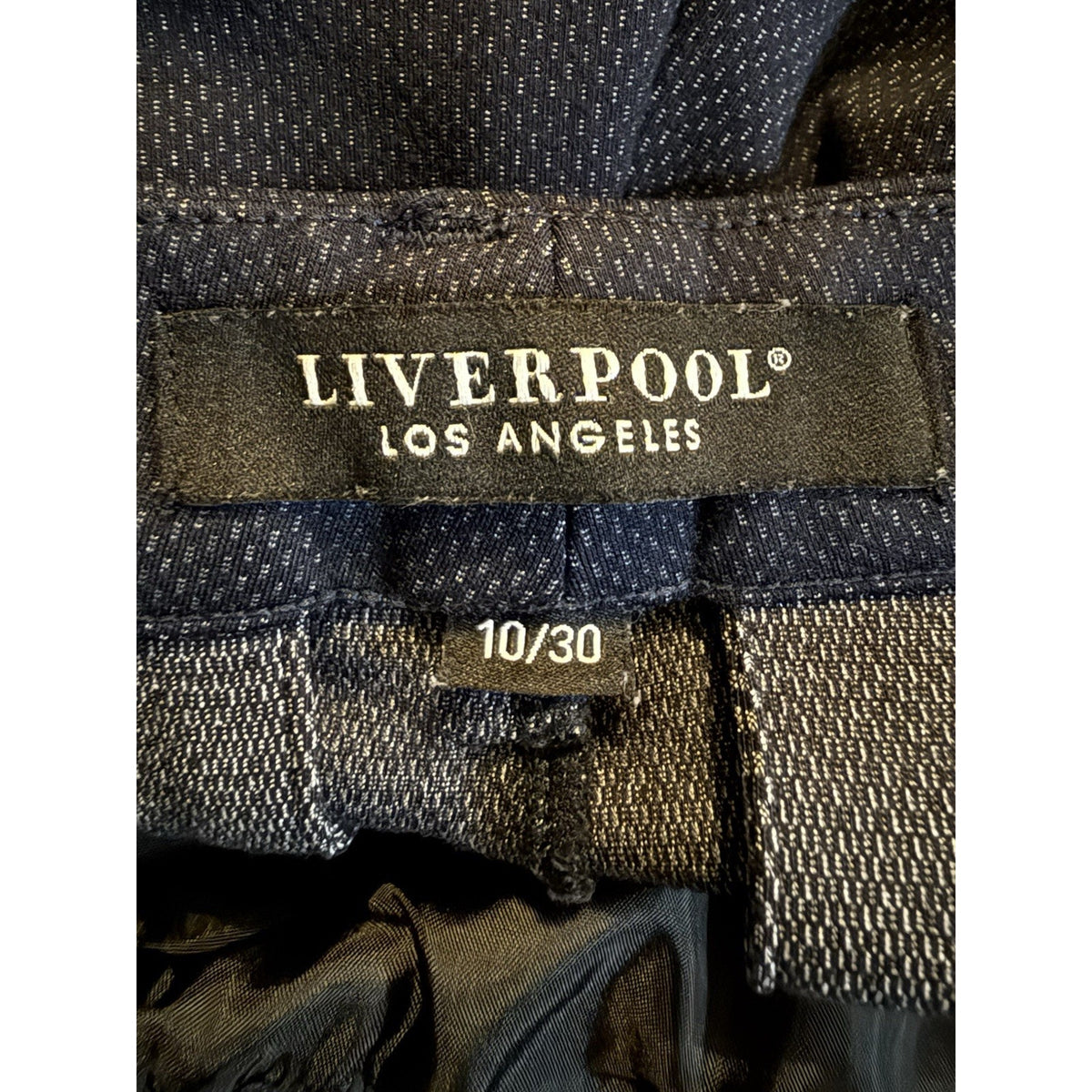 Liverpool Los Angeles Pants Womens 10 Navy Career Office Straight Ankle 30x28.5