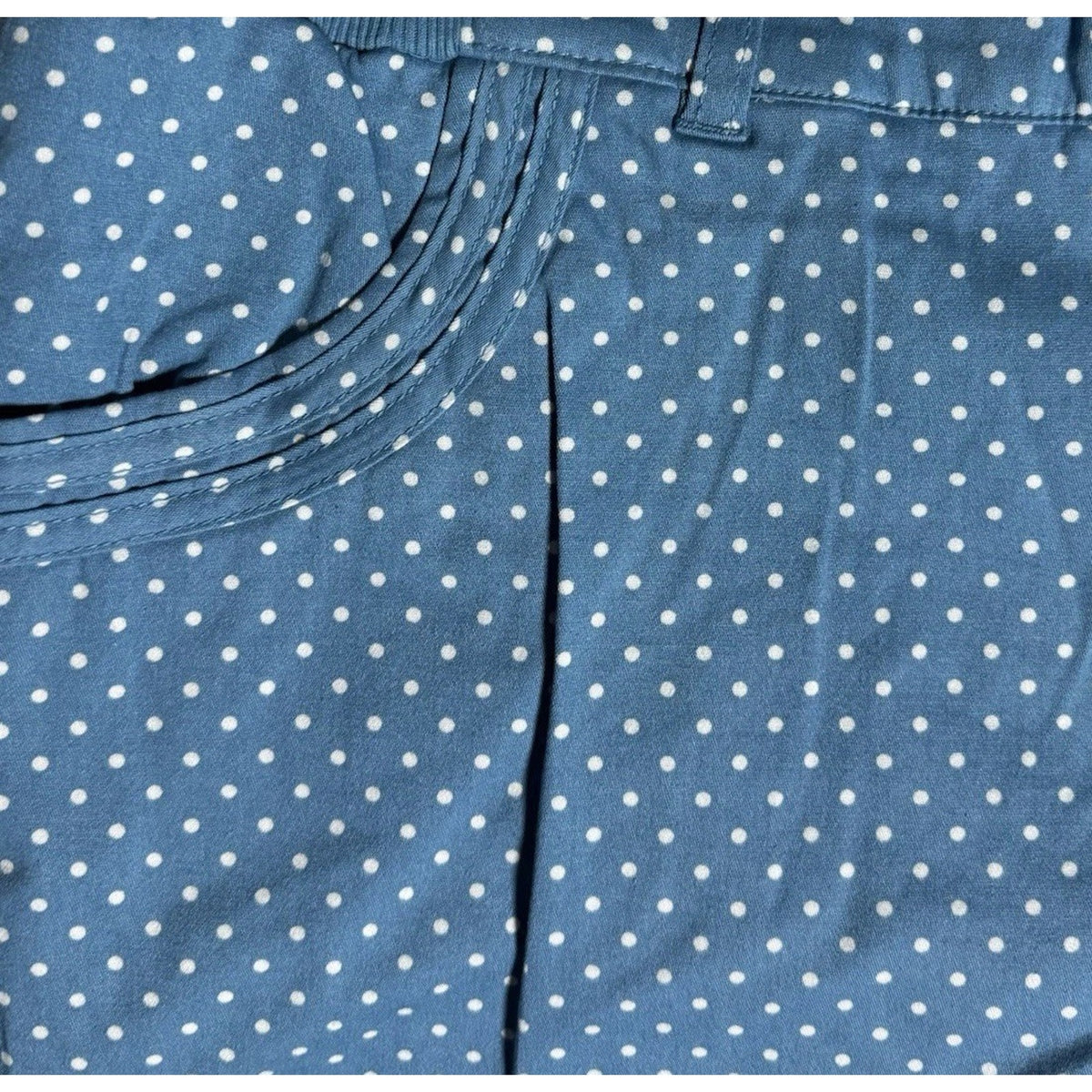Woman Within 28W Blue Polka Dot Stretch Pants Natural Fit Tummy Control