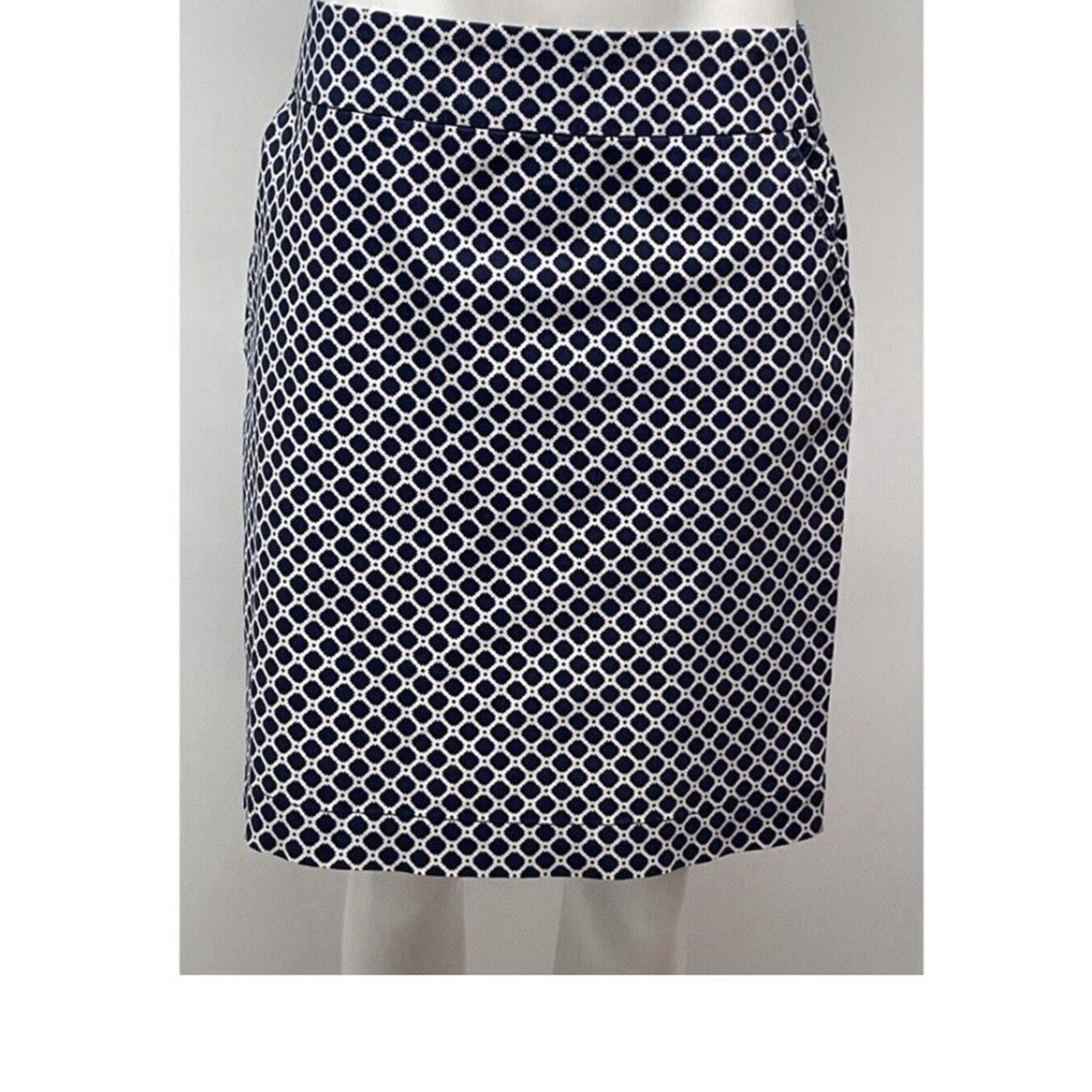 Chadwicks of Boston A Line Skirt Classic Stretch Size 10 Navy Blue White Pockets