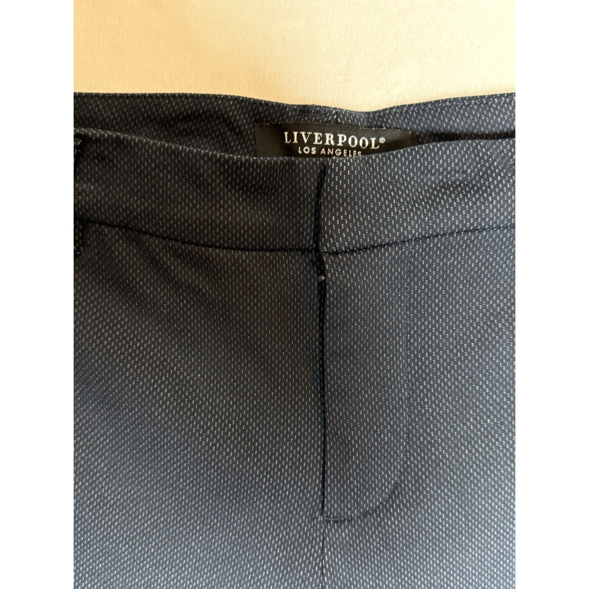 Liverpool Los Angeles Pants Womens 10 Navy Career Office Straight Ankle 30x28.5