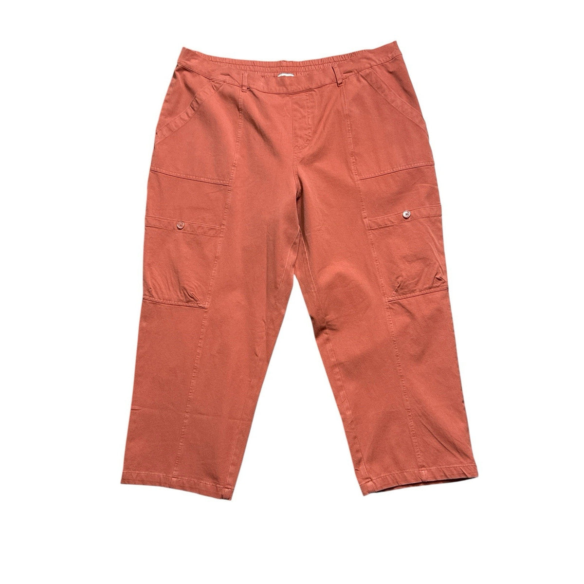 AnyBody Rust Cargo Pants XL Pull-On Stretch Cotton Blend Pockets Casual Comfy