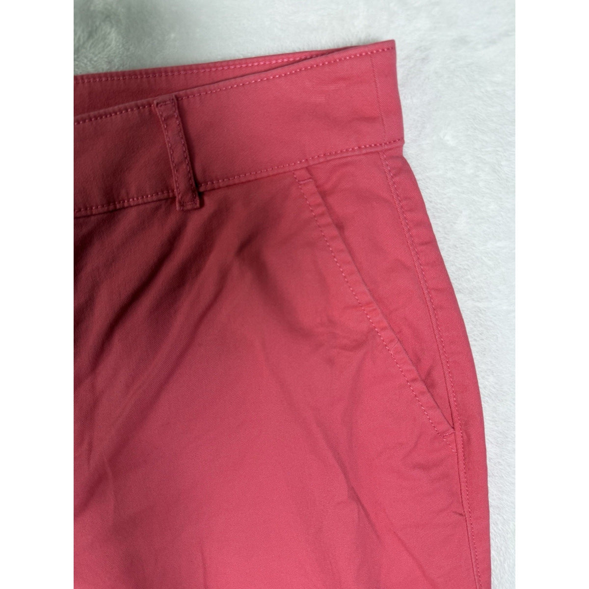 LOFT Womens Pink Crop Pants Size 10 Cotton Stretch Chino Capri Crop Casual
