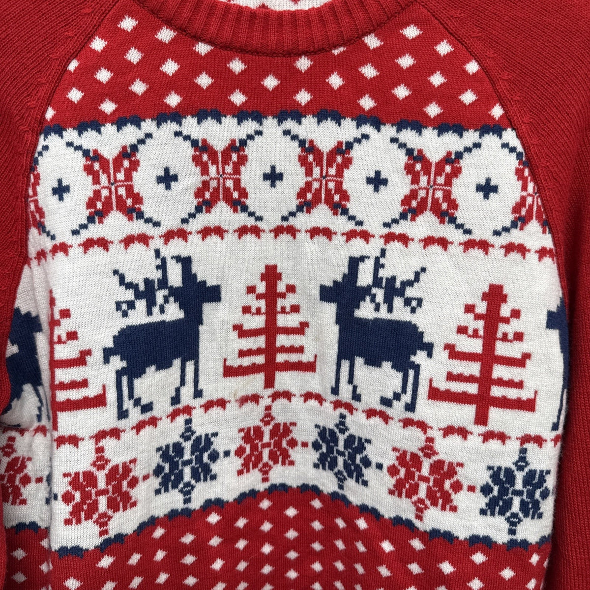 Blueberry Pet Family Women Christmas Sweater Size M Red/white