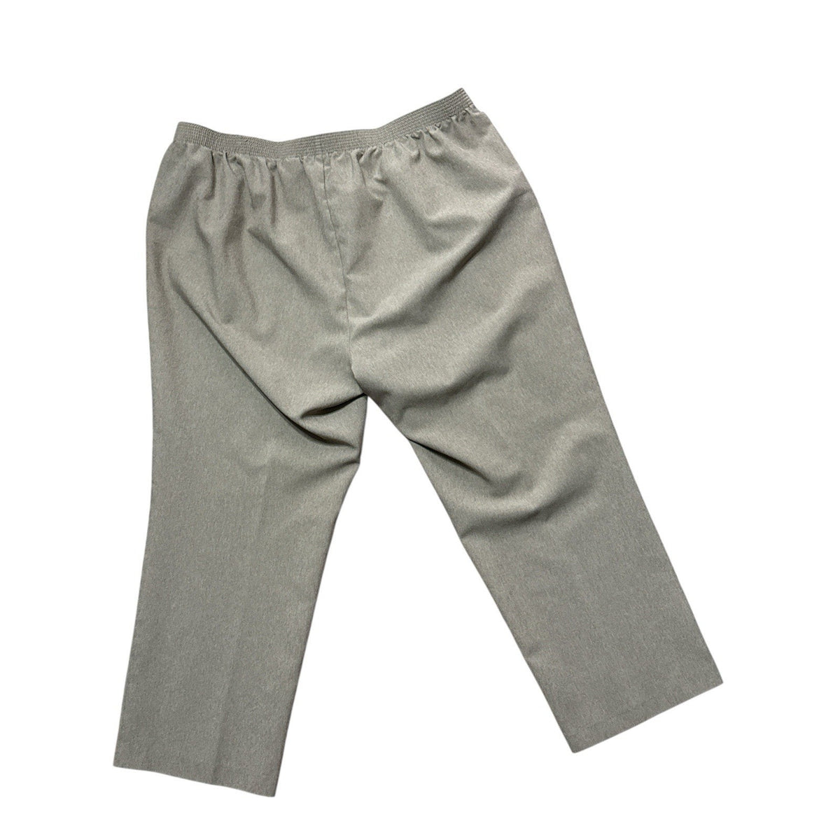 Allison Daley Women’s 24W Brown Pull On Pants Elastic Waist Pockets 29” Inseam