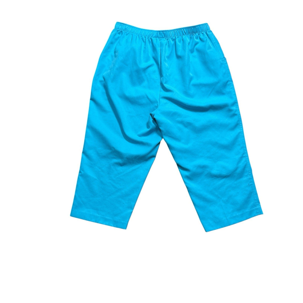 Kim Rogers Women’s Pull-On Pants 14 Blue Elastic Waist Pockets Short Length