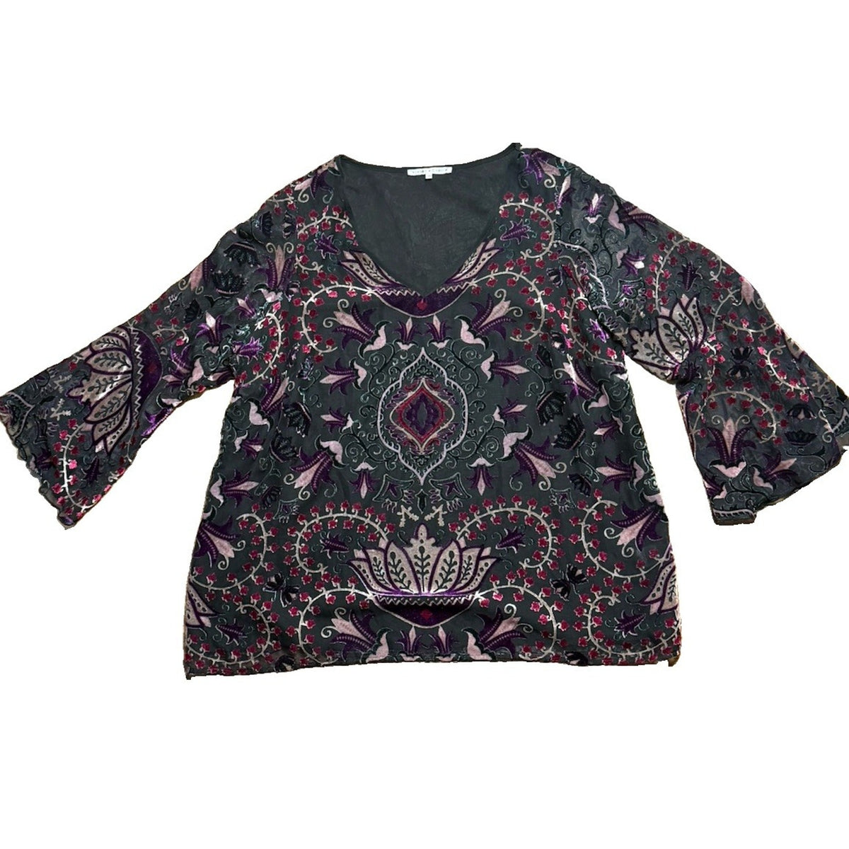 Violet + Claire Sz 1X Top Witchy Velvet Burnout Camisole Sheer BOHO Whimsigoth